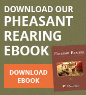 Download Our Ebook