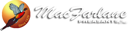 MacFarlane Pheasants